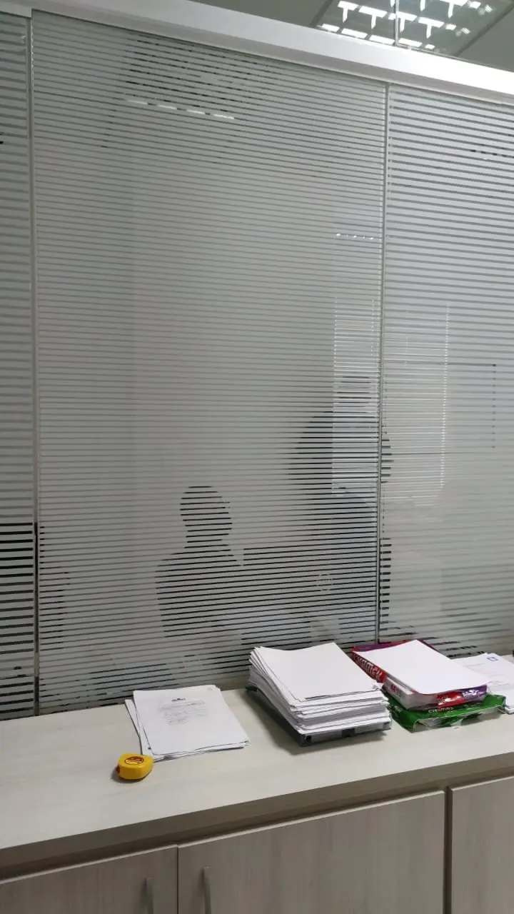 Aplicação de película – trabalho realizado